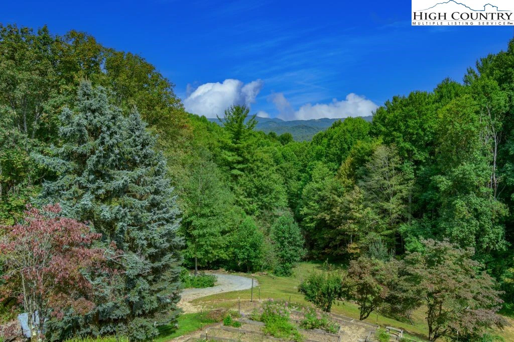 Image number 8 for the current listing
