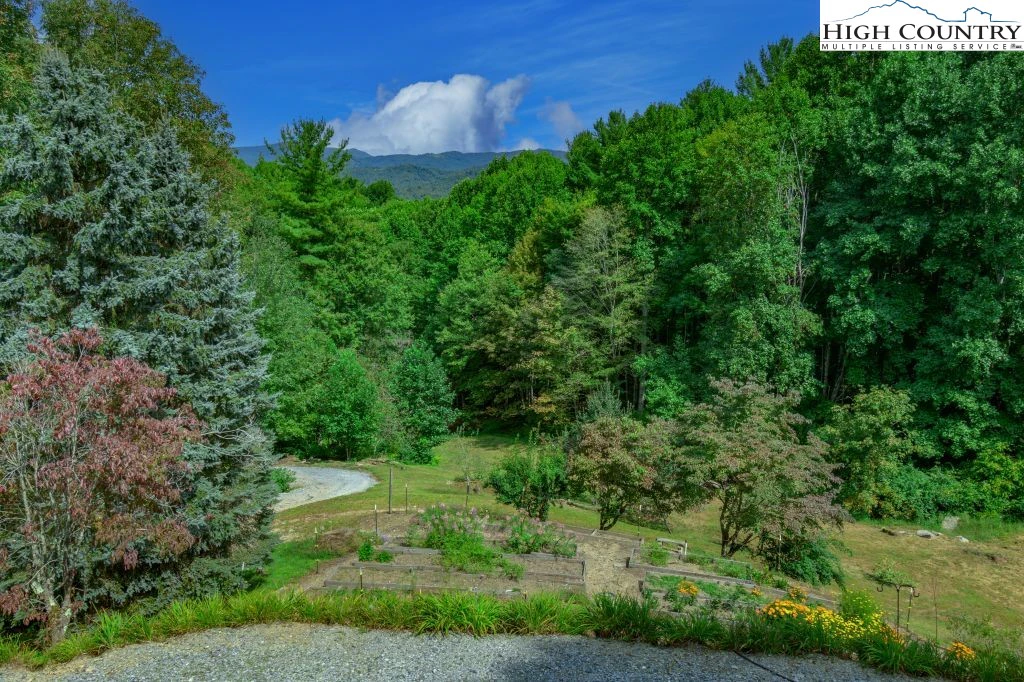 Image number 9 for the current listing