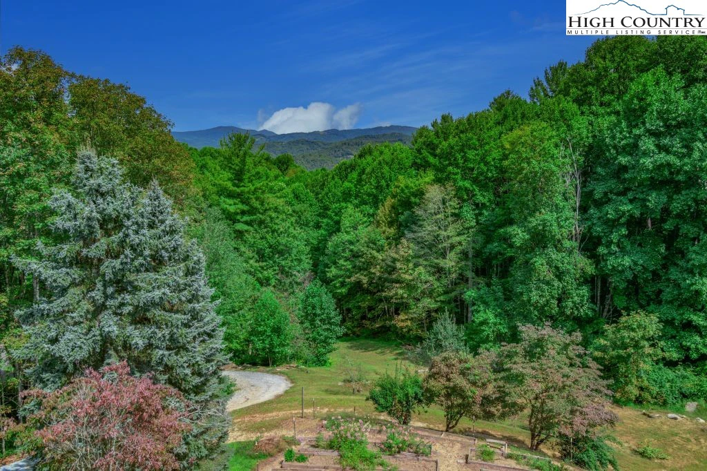 Image number 2 for the current listing