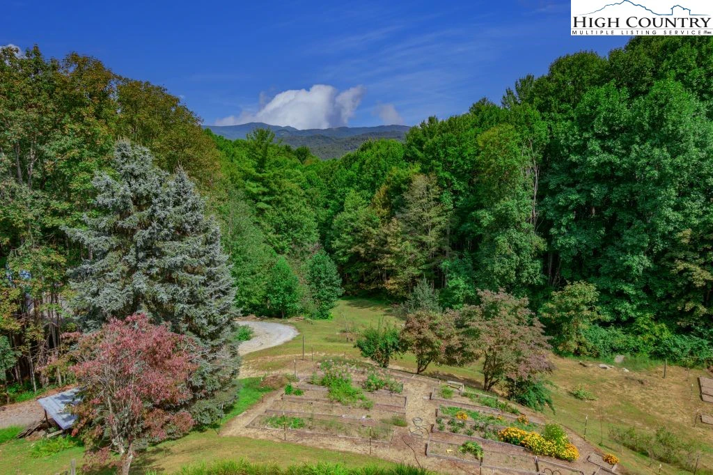 Image number 14 for the current listing