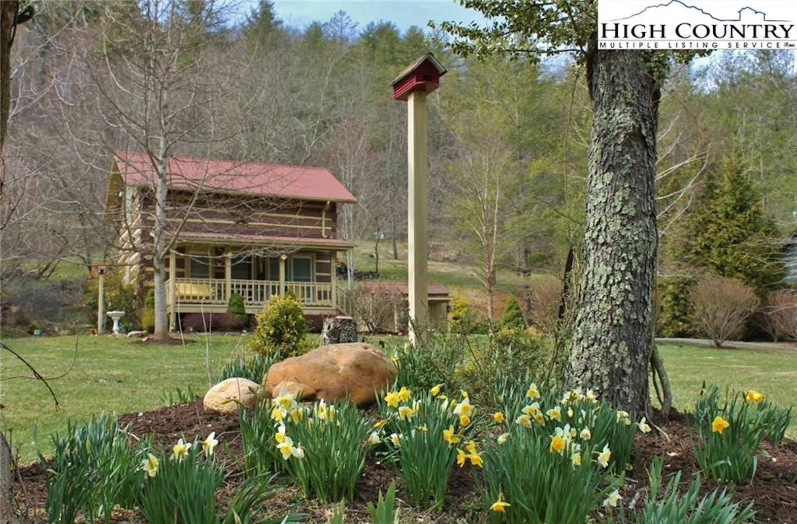Image number 1 for the current listing