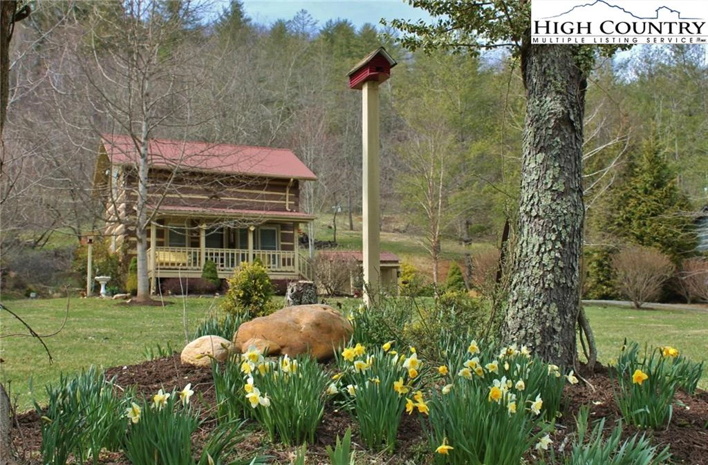 Image number 1 for the current listing