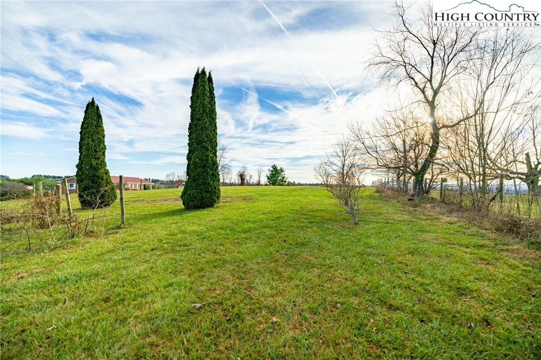 Image number 15 for the current listing