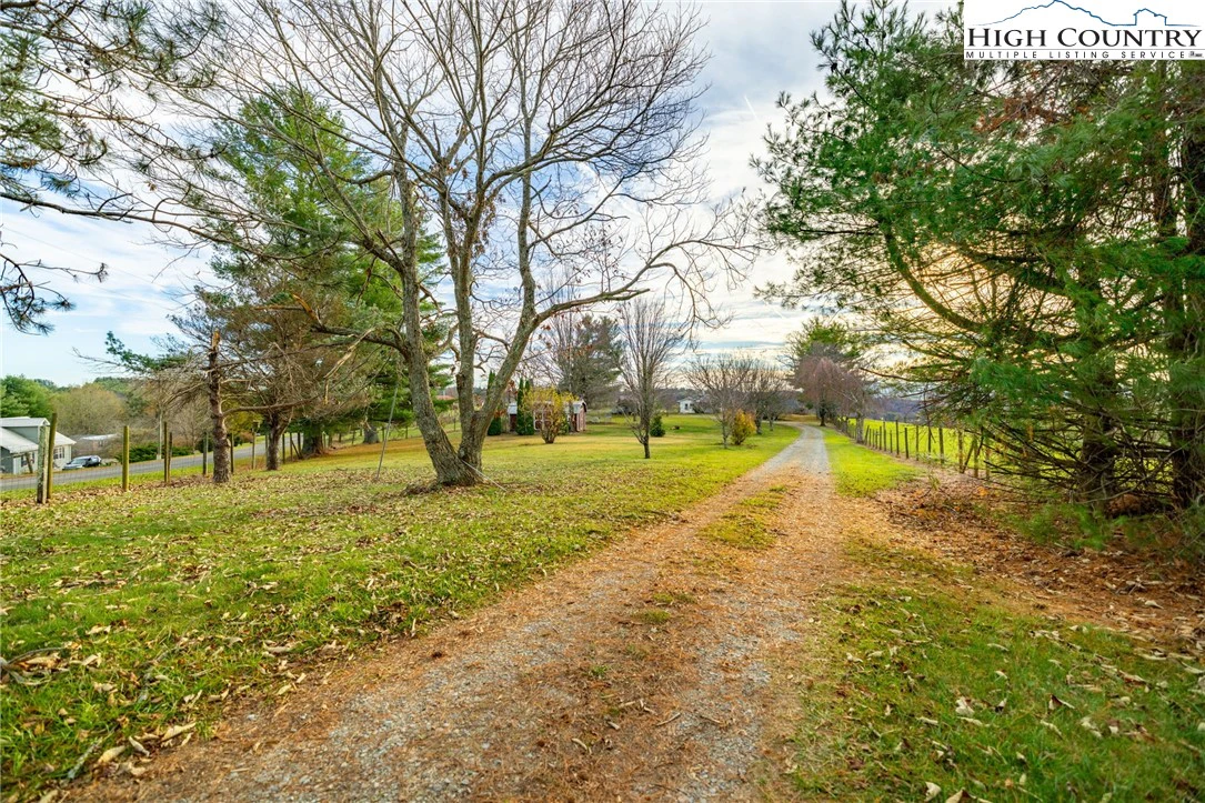 Image number 13 for the current listing