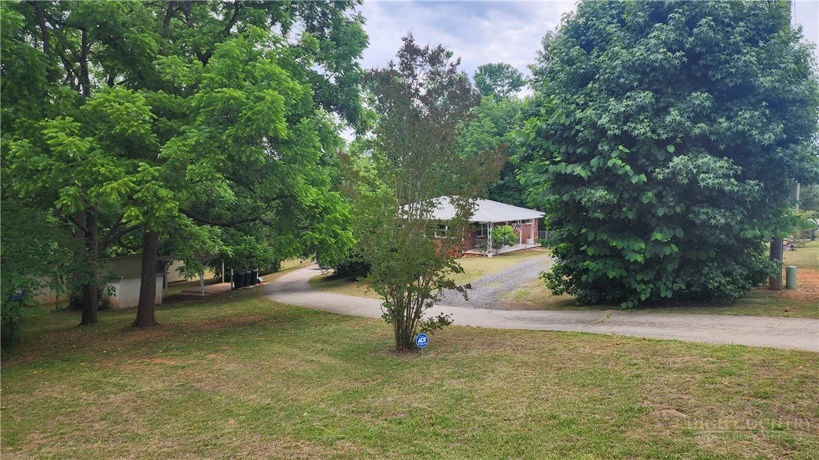 Image number 1 for the current listing