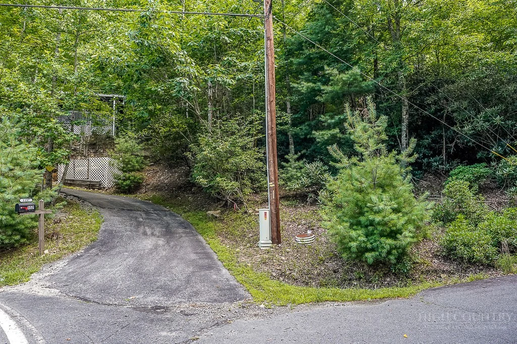 Image number 2 for the current listing