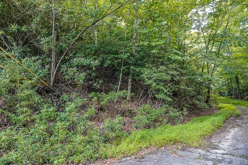 Image number 1 for the current listing