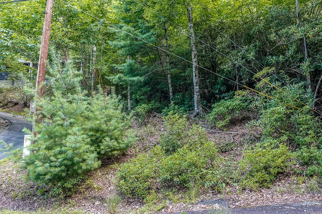 Image number 3 for the current listing