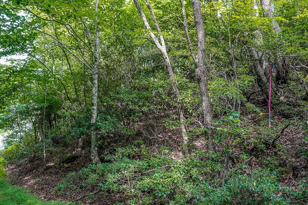 Image number 4 for the current listing
