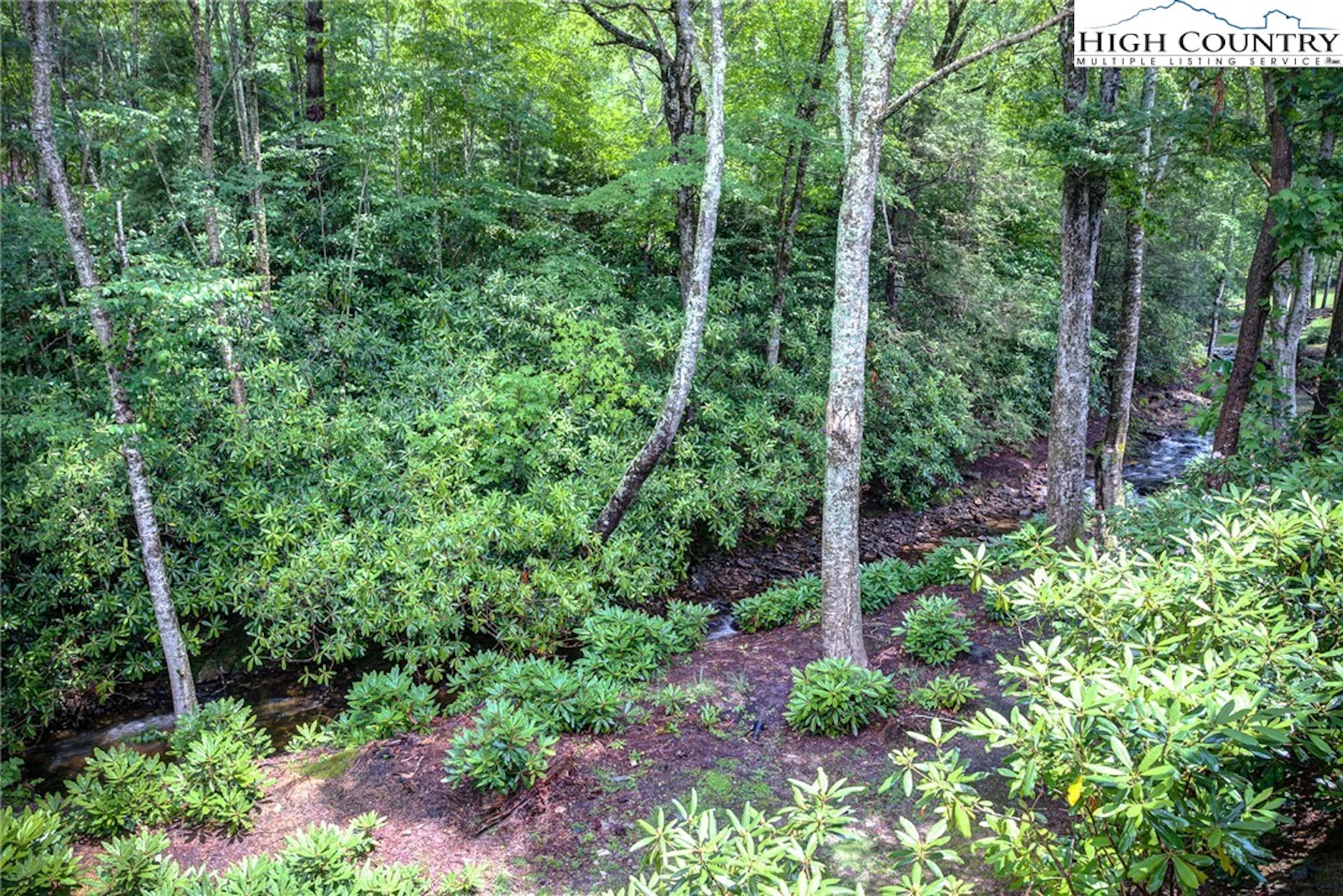 Image number 11 for the current listing