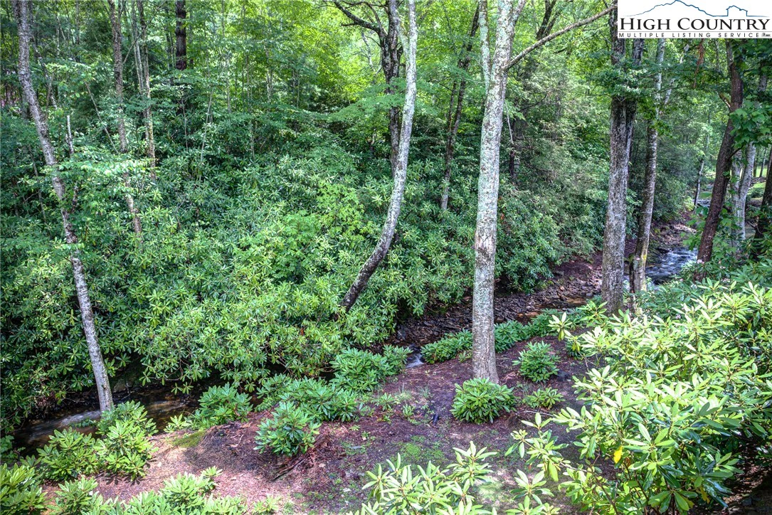 Image number 11 for the current listing
