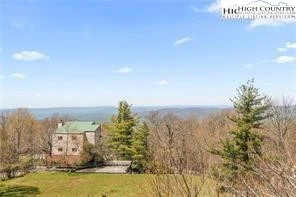 Image number 1 for the current listing