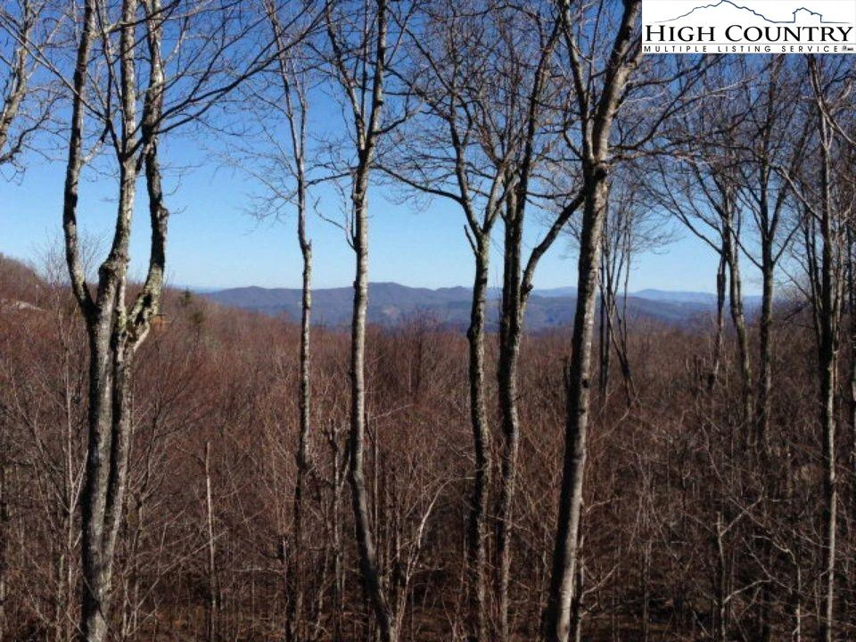 Image number 3 for the current listing