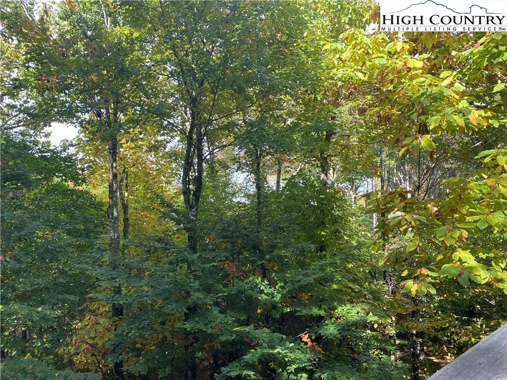 Image number 4 for the current listing