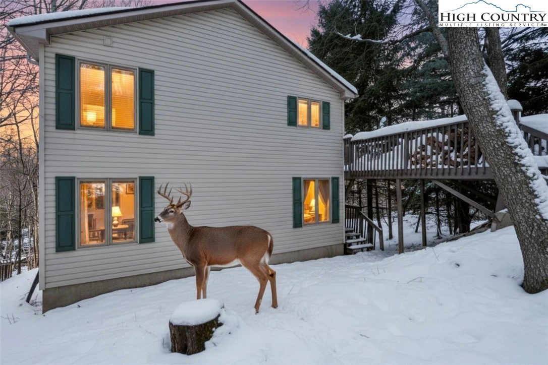 Image number 1 for the current listing