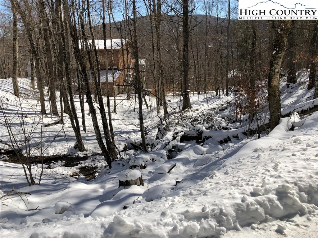 Image number 1 for the current listing