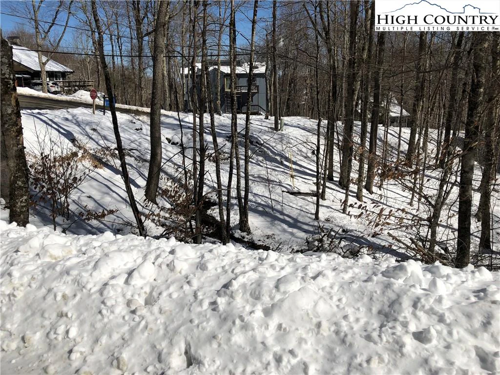 Image number 4 for the current listing