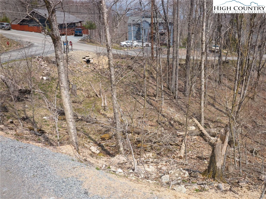 Image number 2 for the current listing