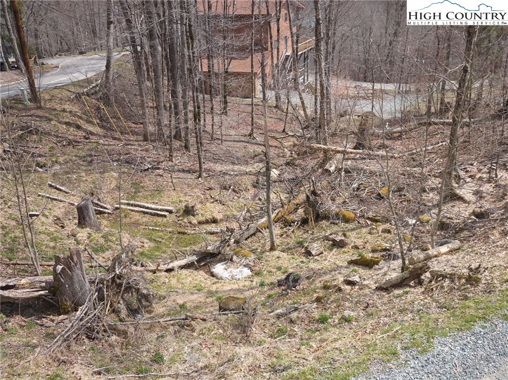 Image number 14 for the current listing