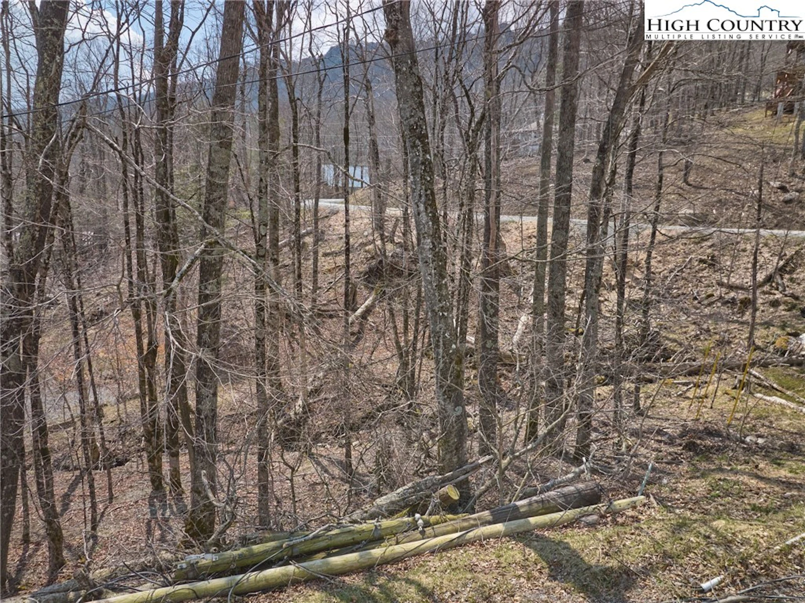 Image number 11 for the current listing