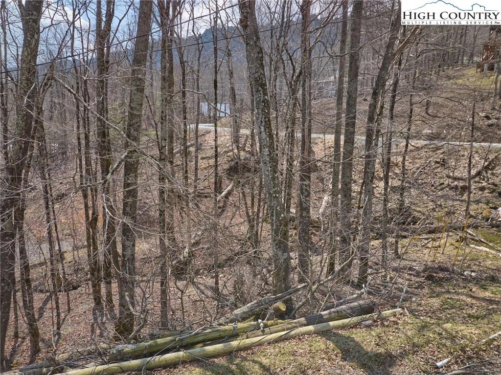 Image number 11 for the current listing