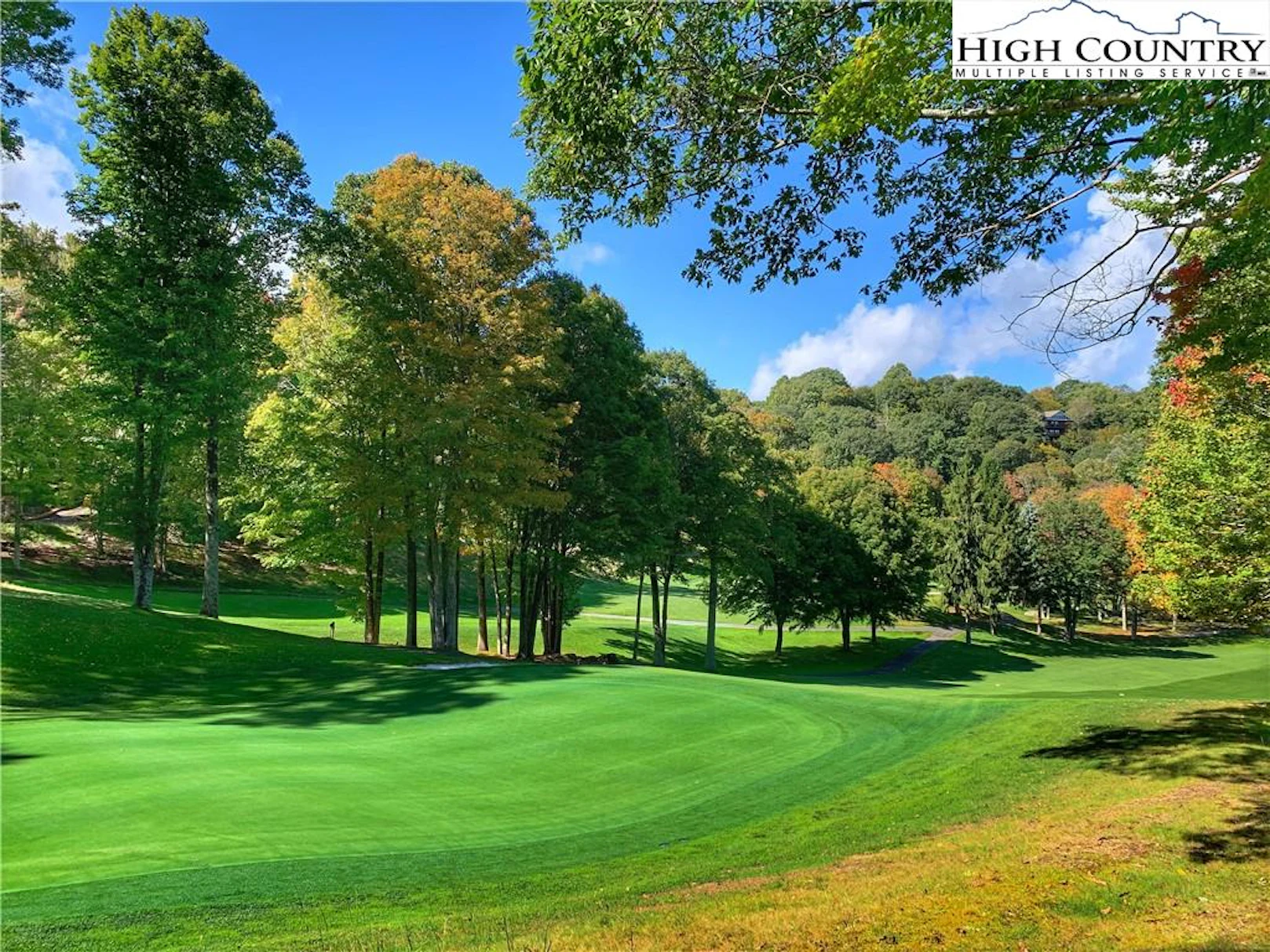 Image number 1 for the current listing