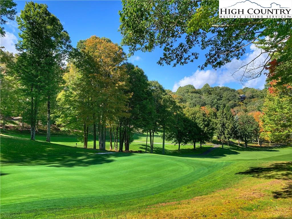 Image number 1 for the current listing