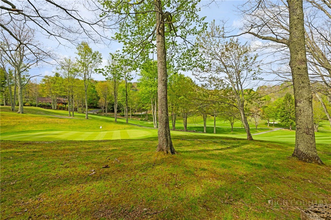 Image number 13 for the current listing