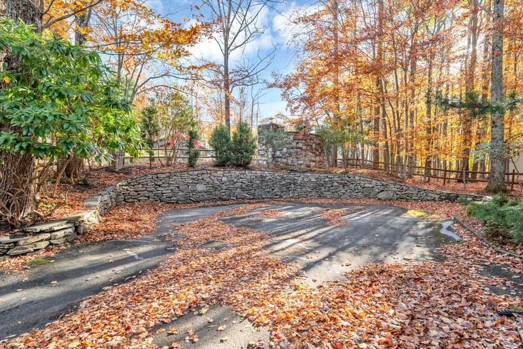 Image number 12 for the current listing