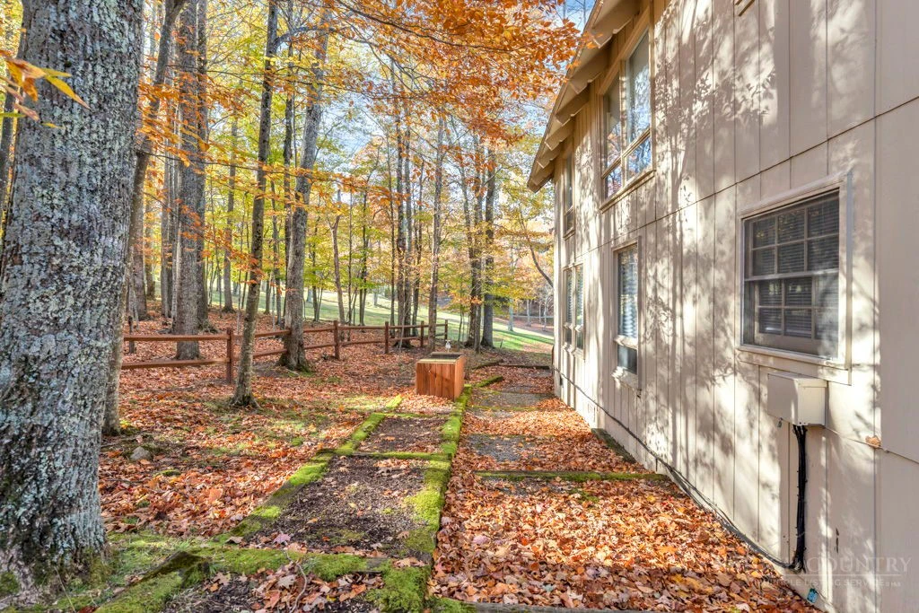 Image number 11 for the current listing