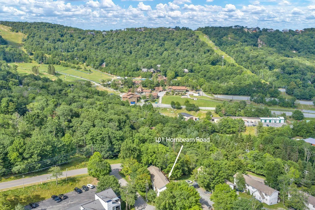 Image number 2 for the current listing