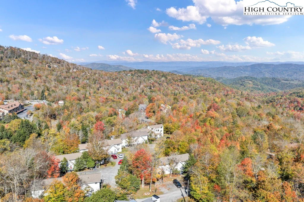Image number 7 for the current listing