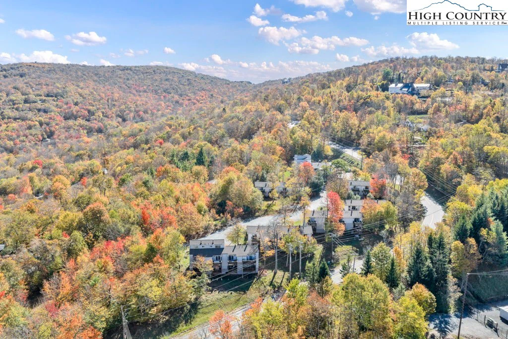 Image number 9 for the current listing