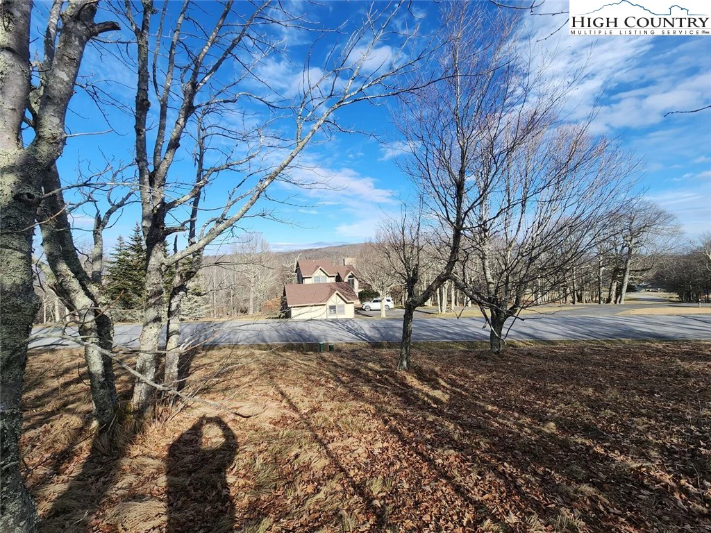 Image number 1 for the current listing