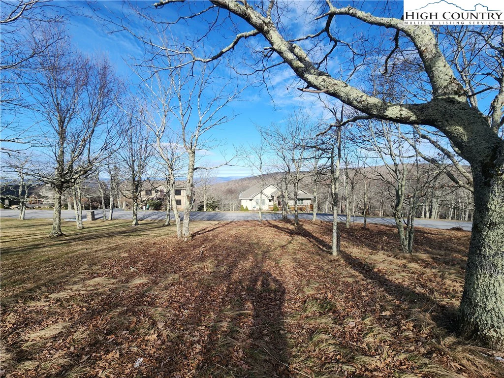 Image number 4 for the current listing
