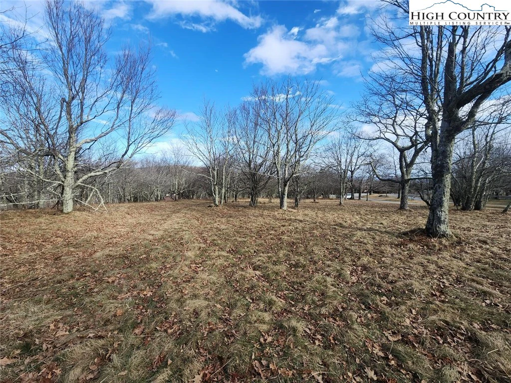 Image number 5 for the current listing