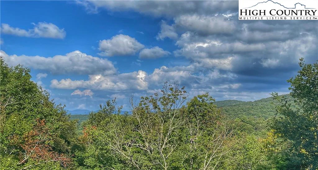 Image number 1 for the current listing