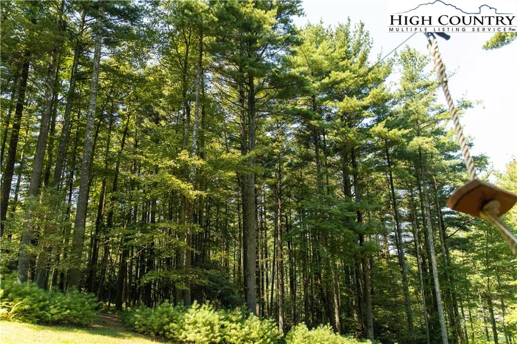 Image number 2 for the current listing