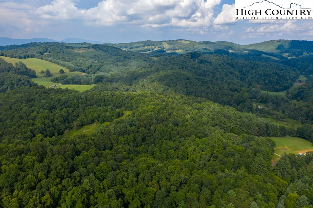 Image number 3 for the current listing