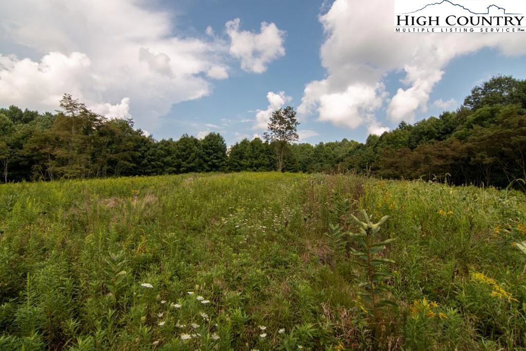 Image number 6 for the current listing