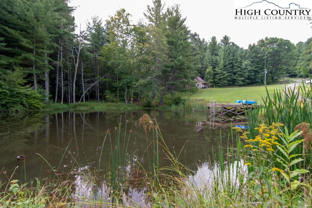 Image number 12 for the current listing