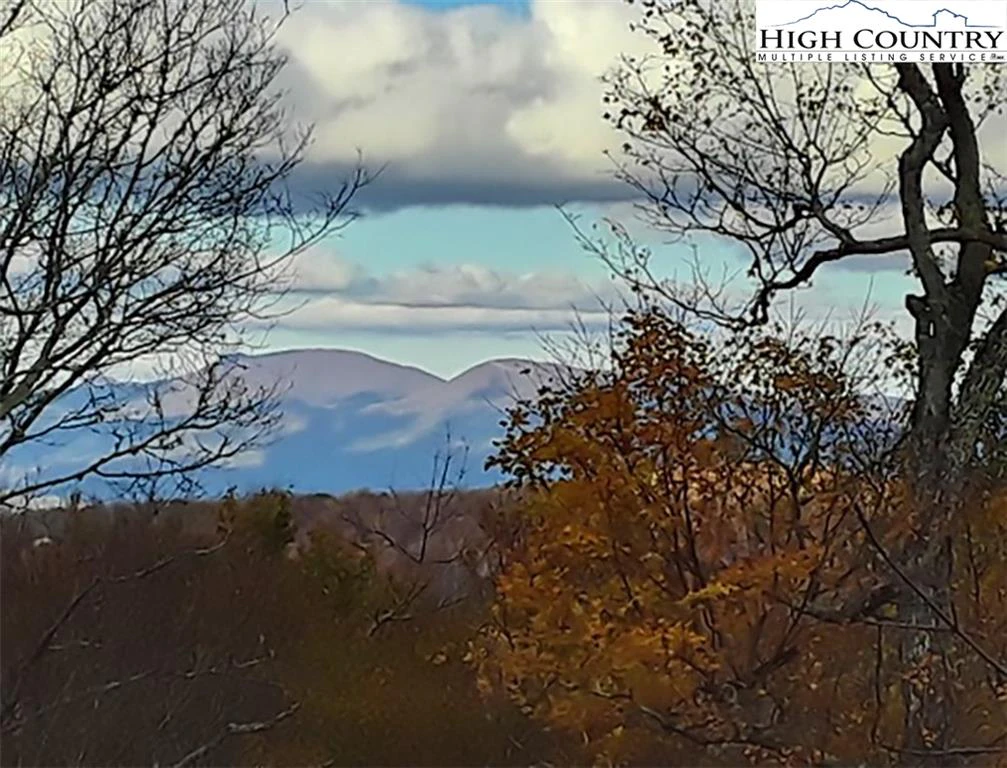 Image number 11 for the current listing