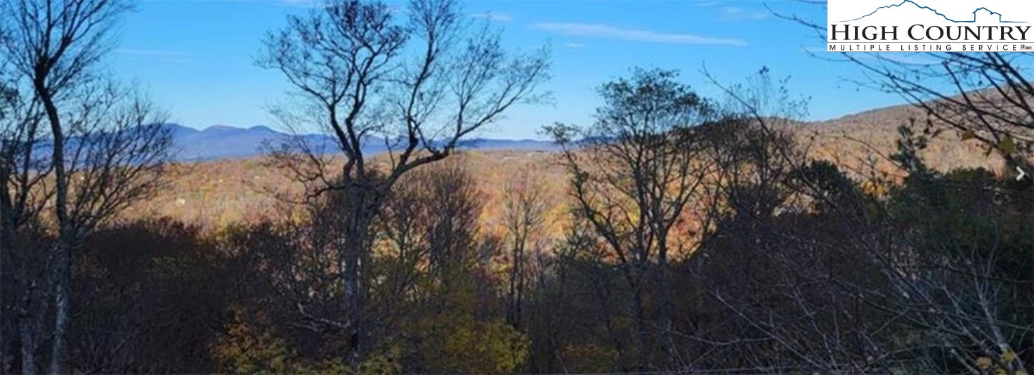 Image number 19 for the current listing