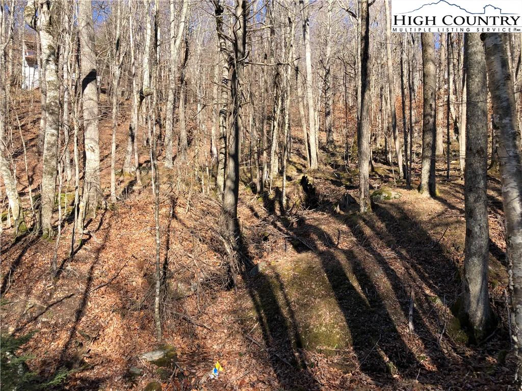 Image number 1 for the current listing
