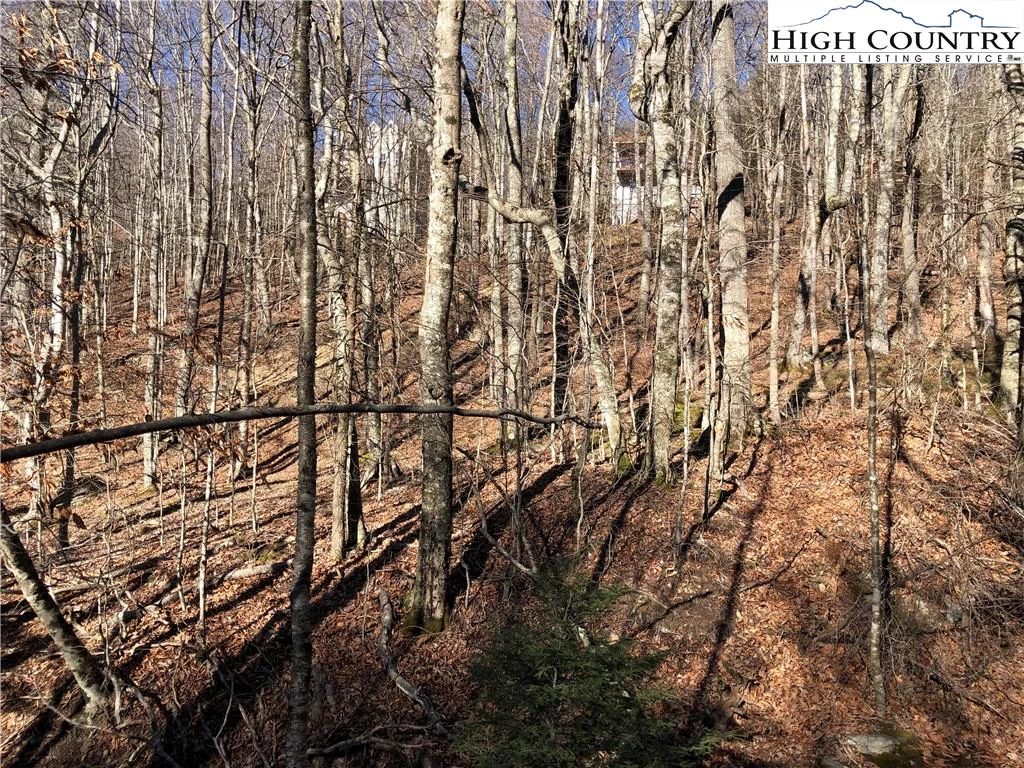 Image number 3 for the current listing