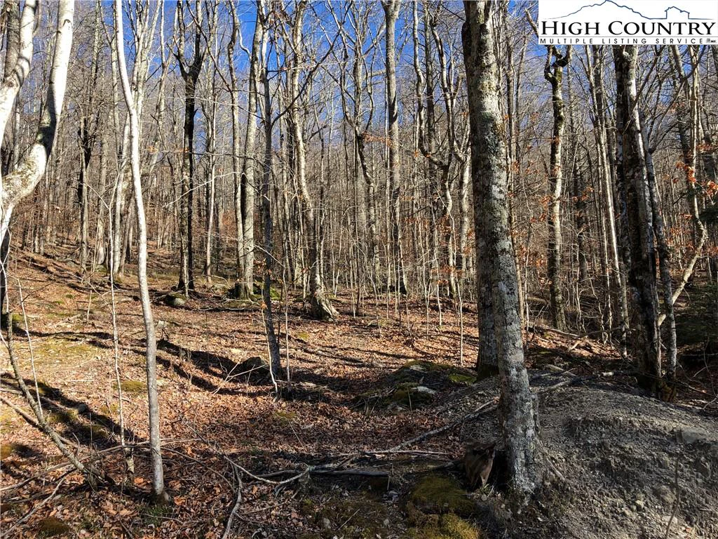 Image number 4 for the current listing