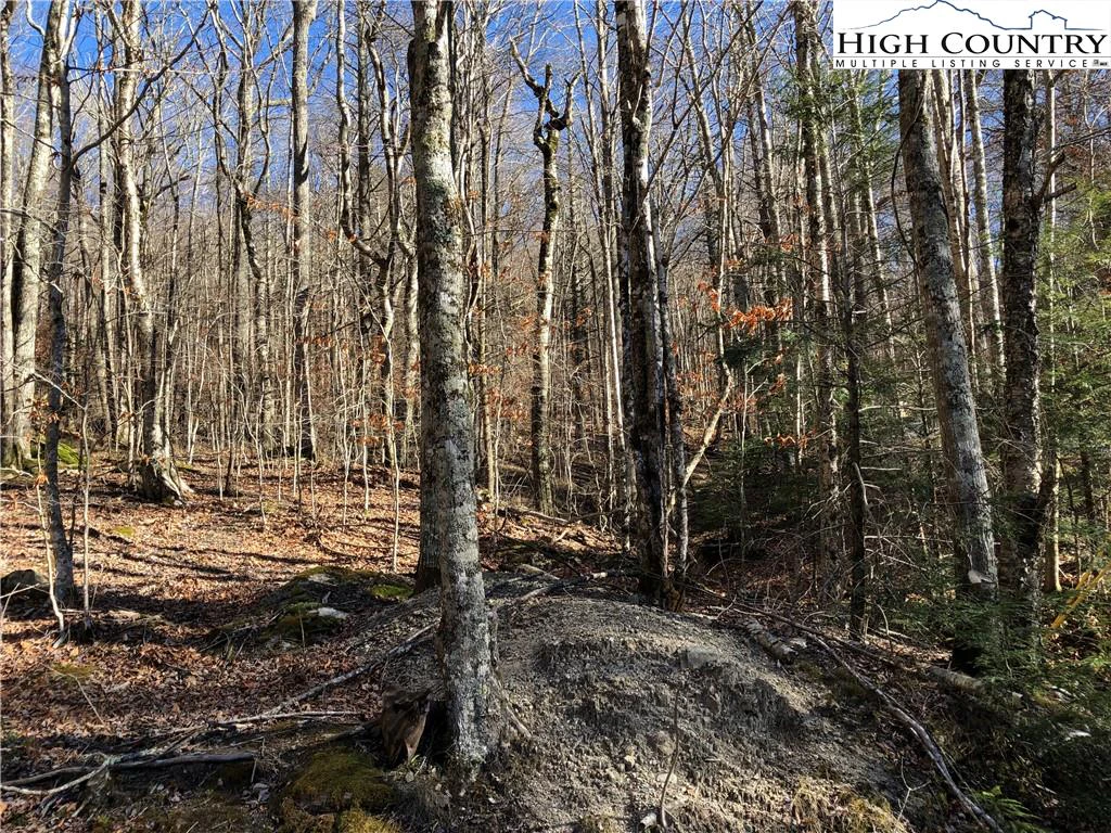 Image number 6 for the current listing