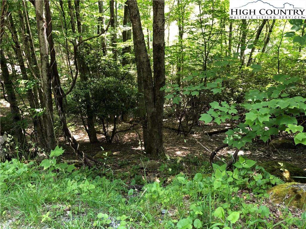 Image number 1 for the current listing