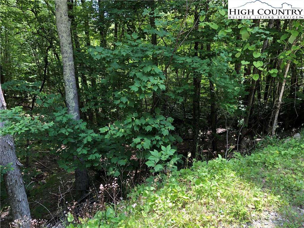 Image number 3 for the current listing