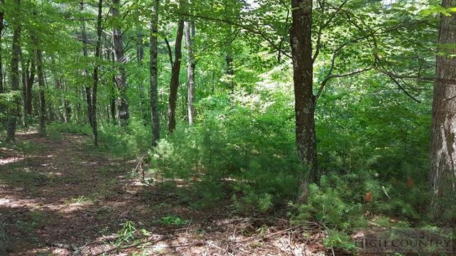 Image number 11 for the current listing